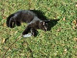 20231101_112031.jpg