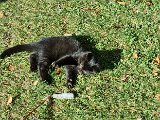 20231101_112033.jpg