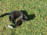 20231101_112034.jpg
