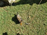 20231101_112124.jpg