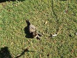 20231101_112128(0).jpg