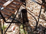 20231101_112148.jpg