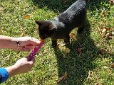 20231101_112913.jpg