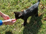 20231101_112931.jpg