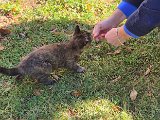 20231101_113434.jpg