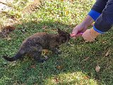 20231101_113444.jpg