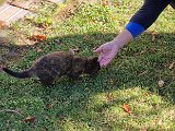 20231101_113500.jpg