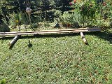 20231101_122114.jpg