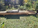 20231101_125927(0).jpg