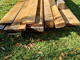 20231101_131133.jpg