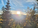 20231101_154919(0).jpg