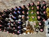 20231101_160811.jpg