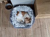 20231118_135852.jpg