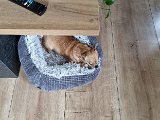 20231118_135906.jpg