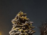 20231202_221754.jpg