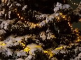 20231202_221808.jpg