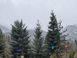 20231222_121605.jpg