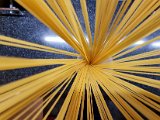 20230305_032903.jpg