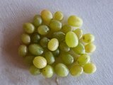 20230310_075048.jpg