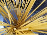 20230319_020957.jpg