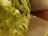 20230420_225928(0).jpg