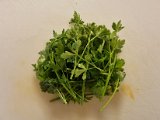 20230508_204151.jpg