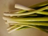 20230520_222926(0).jpg