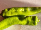 20230530_192527.jpg