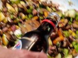 20230606_191049(0).jpg