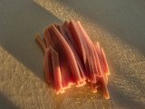 20230611_202903.jpg