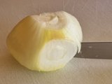 20230630_143311(0).jpg