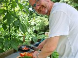20230709_122335(0).jpg