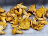 20230724_193512.jpg
