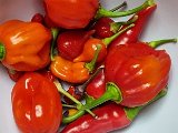 20231025_230932.jpg