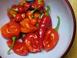 20231025_231542(0).jpg