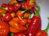 20231025_231617.jpg