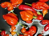 20231025_231834.jpg