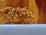 20231105_123833.jpg