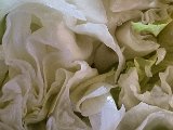 20231106_165627.jpg