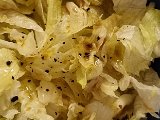 20231119_210911.jpg