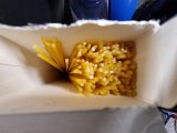 20231213_032403.jpg