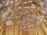 20231213_034041.jpg