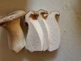 20231219_191531.jpg