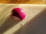 20231220_150407.jpg