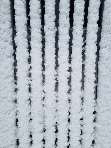20230121_081324