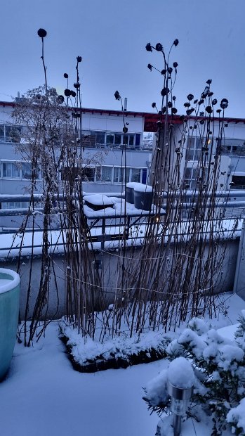20230128_072925