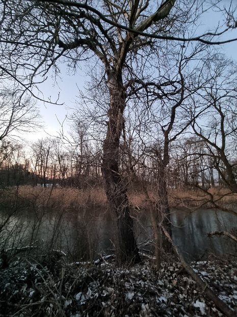 20230206_171703(0)