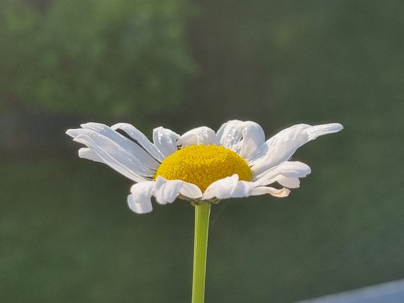20230521_064704