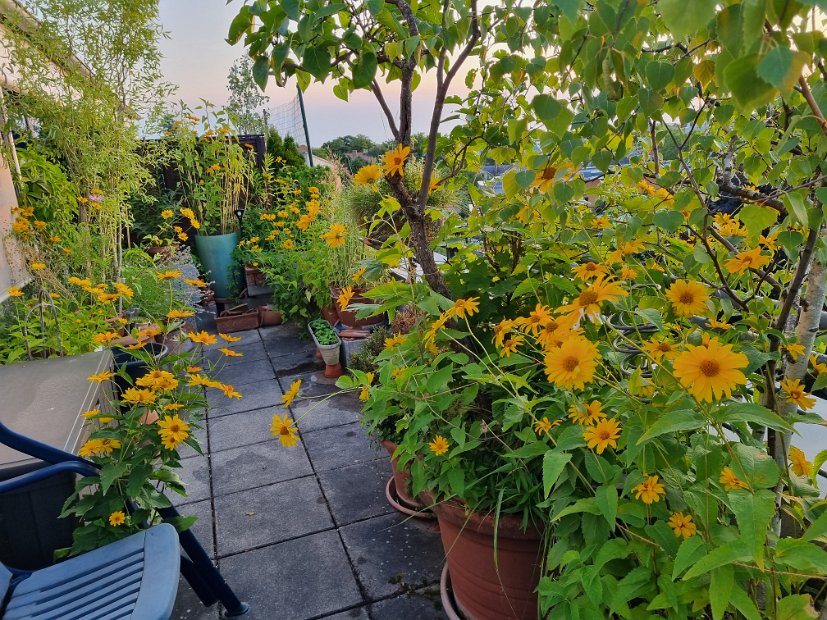 20230714_053151(0)