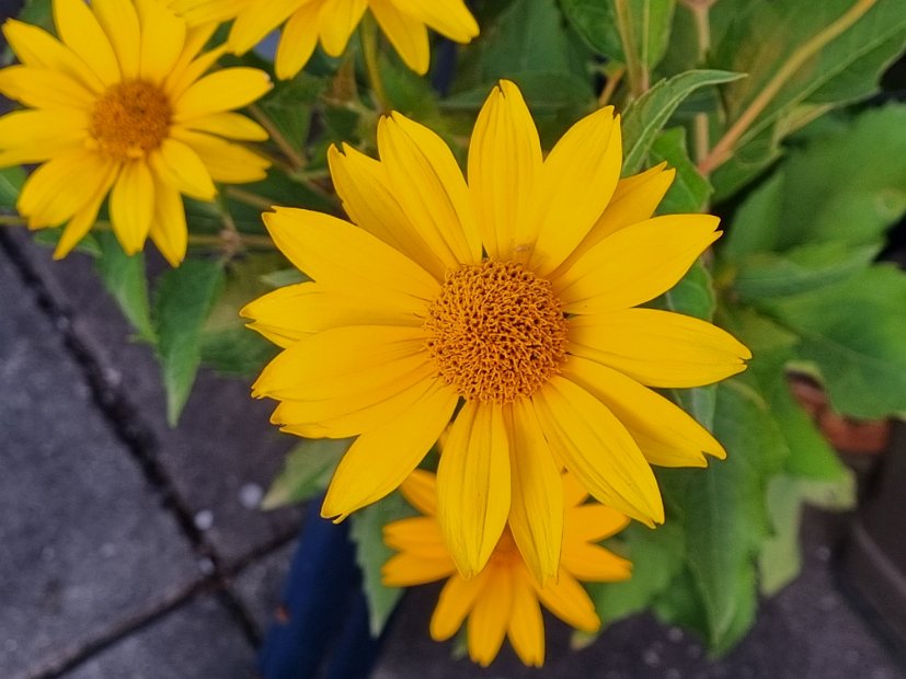 20230714_053306